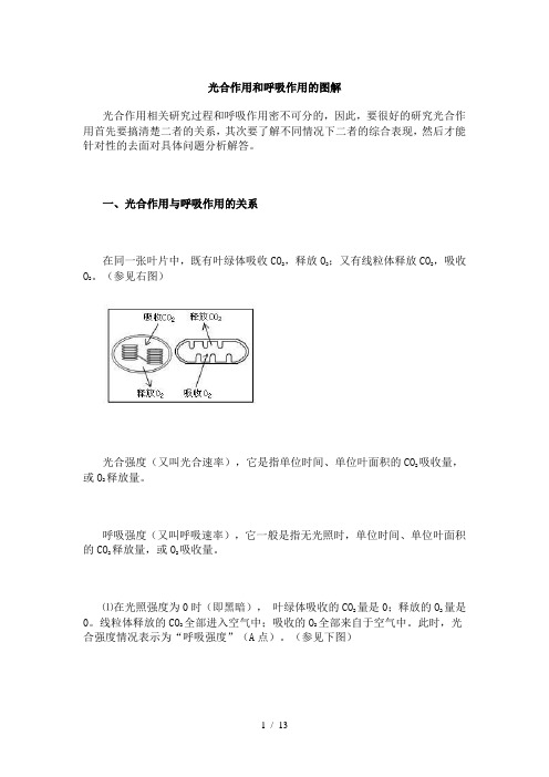 光合作用和呼吸作用图解