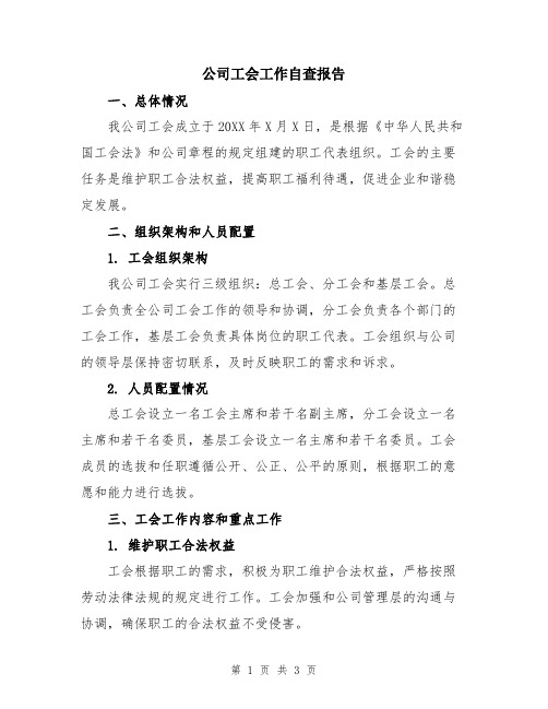 公司工会工作自查报告