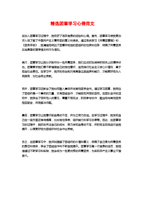 精选团章学习心得范文