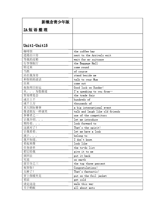 新概念英语青少版2A短语整理