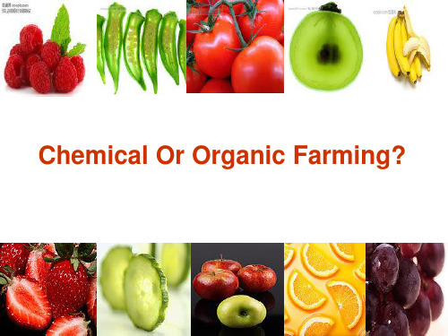 Book4 unit2 阅读chemical or organic farming