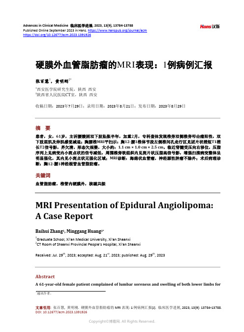 硬膜外血管脂肪瘤的MRI_表现：1_例病例汇报