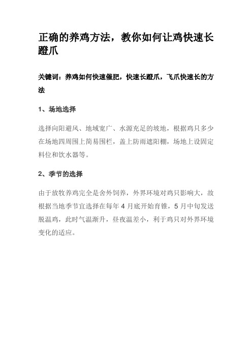 正确的养鸡方法,教你如何让鸡快速长蹬爪