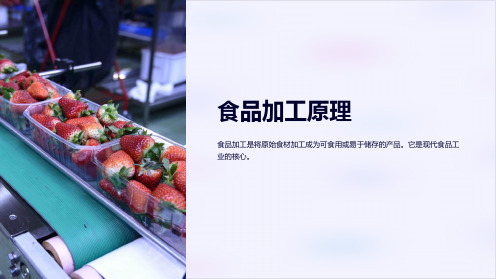 《食品加工原理》课件