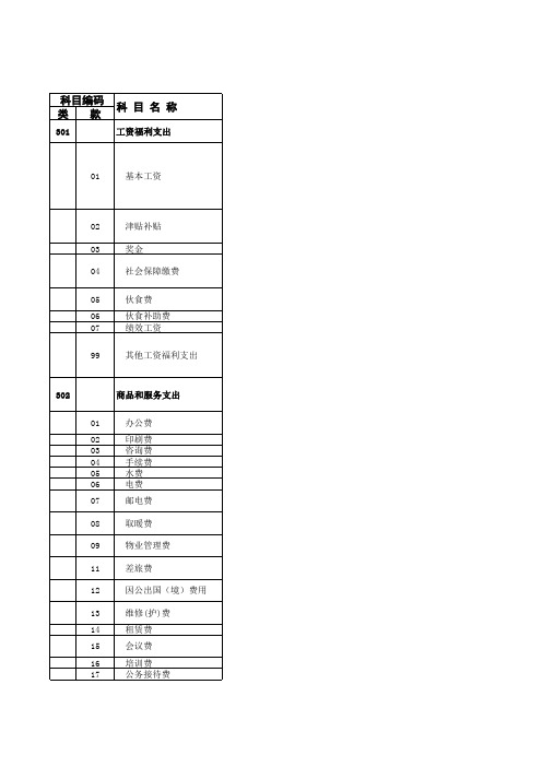 2012年政府分类支出经济科目表