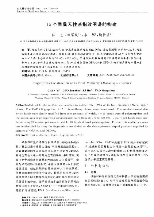 15个果桑无性系指纹图谱的构建