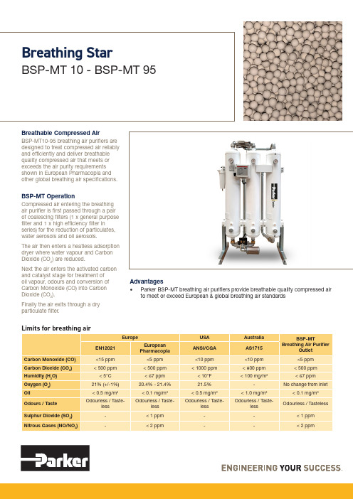 Parker BSP-MT 10-95呼吸气质量改善器说明说明书