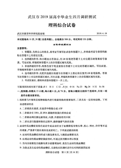 湖北省武汉市2019届高三四月毕业班调研理综试卷(含答案)