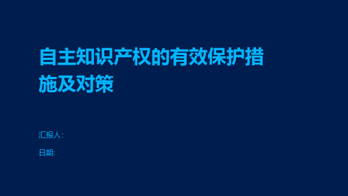 自主知识产权的有效保护措施及对策