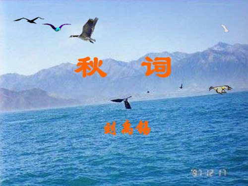 鄂教版七年级语文上册古诗词《画眉鸟》ppt课件全面版