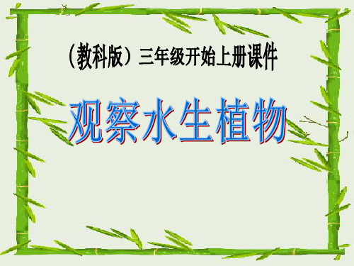 小学三年级上册科学 《水生植物》植物PPT优秀课件