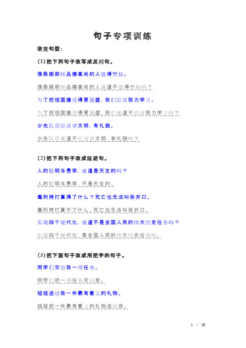 小学语文总复习 句子专项训练(答案)