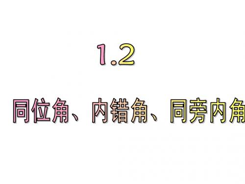 1.2 同位角、内错角、同旁内角课件2(浙教版七下)