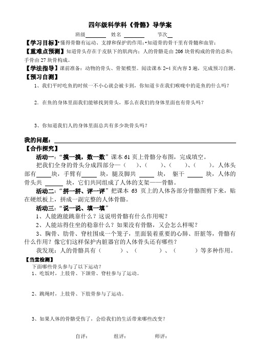 骨骼导学案文档