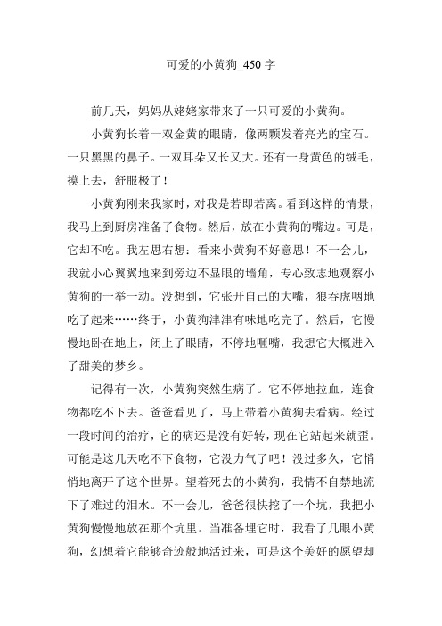 可爱的小黄狗_450字