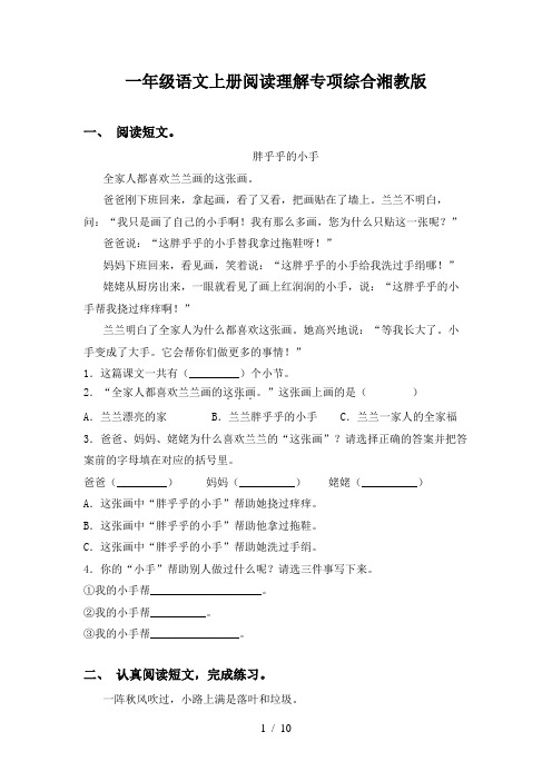 一年级语文上册阅读理解专项综合湘教版