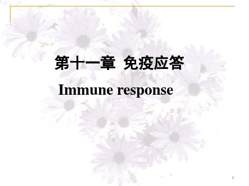 第11章 免疫应答