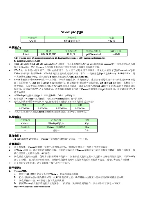 nf-κbp65抗体