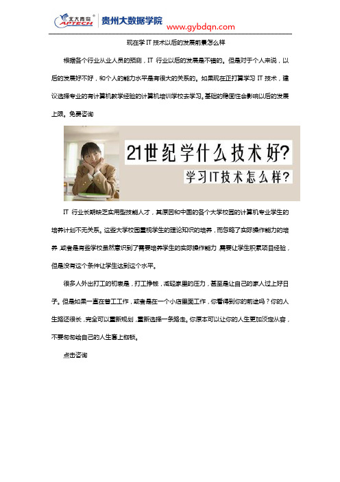 现在学IT技术以后的发展前景怎么样