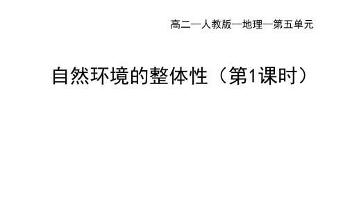 人教版高中地理选择性必修第1册 第五章 5.1自然环境的整体性(一)