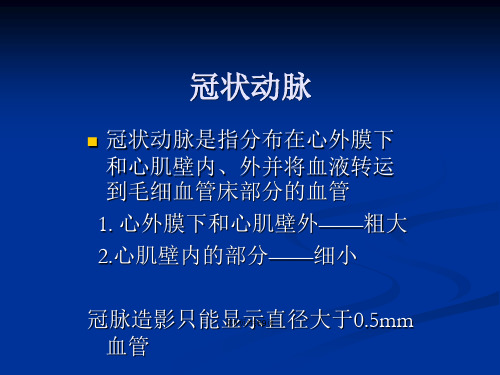 冠脉解剖与冠脉造影阅读