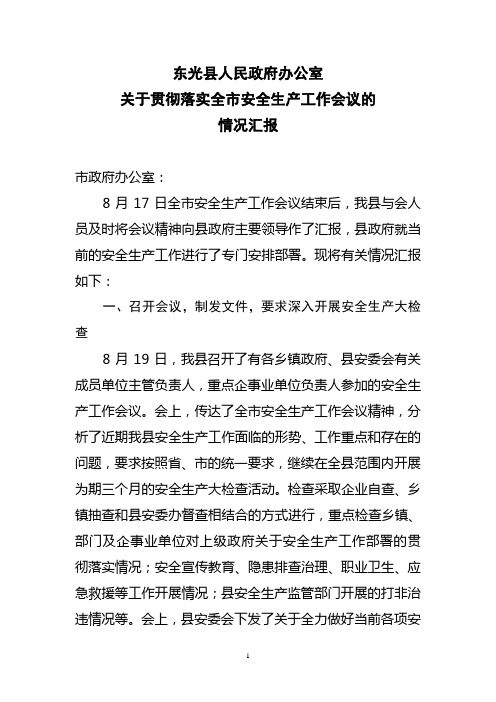 东光县人民政府办公室关于深入贯彻落实全市安全生产工作会议的情况汇报