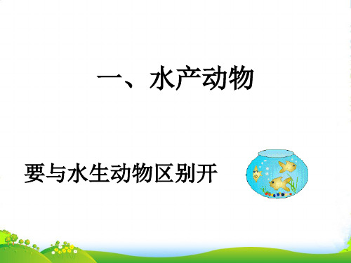 七年级生物上册 第三章第三节常见动物 一水产动物课件 冀教