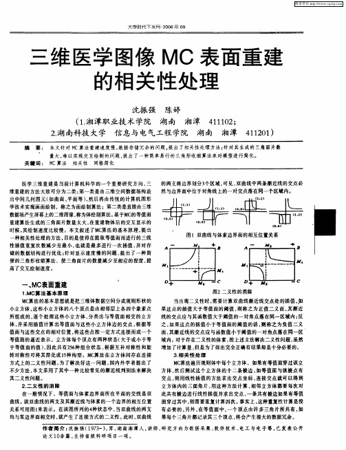 三维医学图像MC表面重建的相关性处理