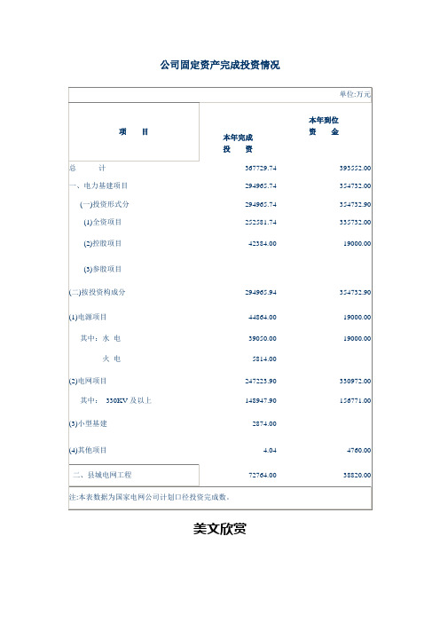 公司固定资产完成投资情况.doc