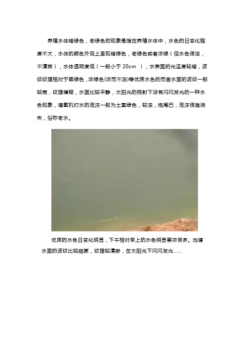 鱼塘水绿色怎么处理