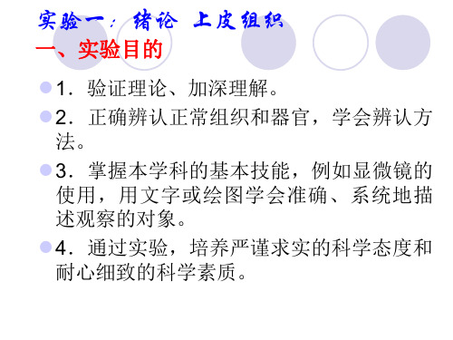 实验一_显微_上皮