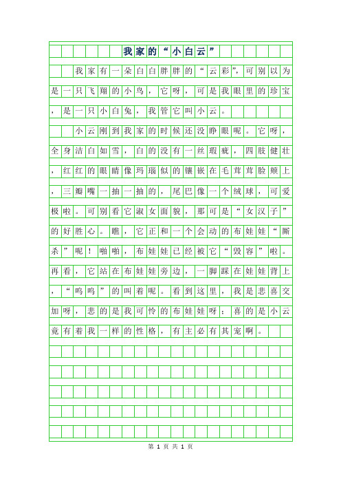 年六年级状物作文-我家的小白云”300字