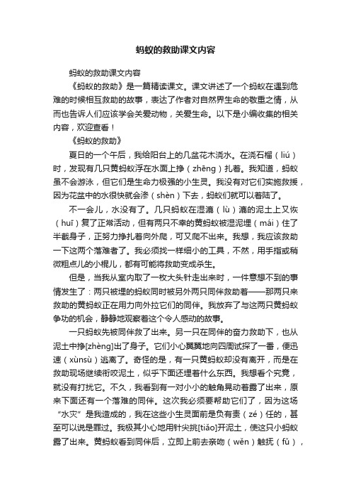 蚂蚁的救助课文内容