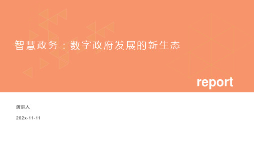 智慧政务：数字政府发展的新生态PPT模板