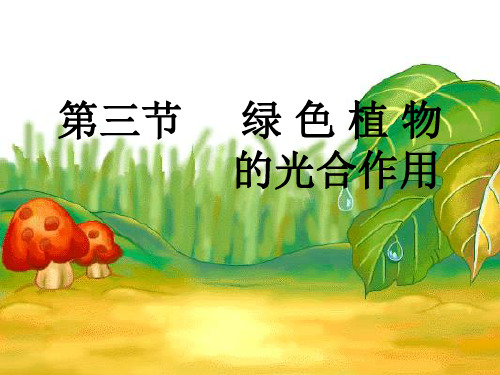 生物七年级上册绿色植物的光合作用