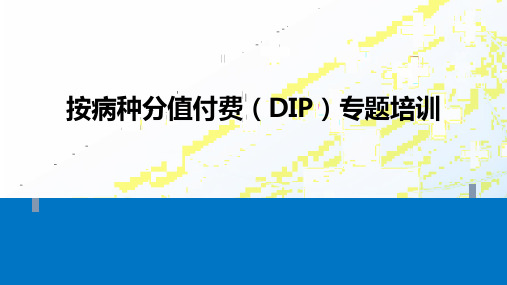 院内按病种分值付费(DIP)专题培训