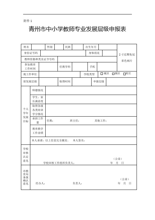 XX小学教师专业发展层级申报表