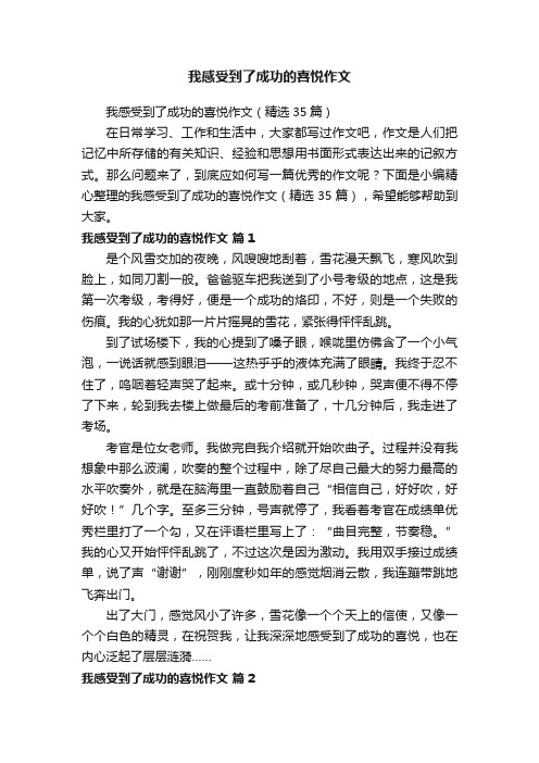 我感受到了成功的喜悦作文