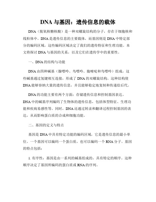 DNA与基因：遗传信息的载体