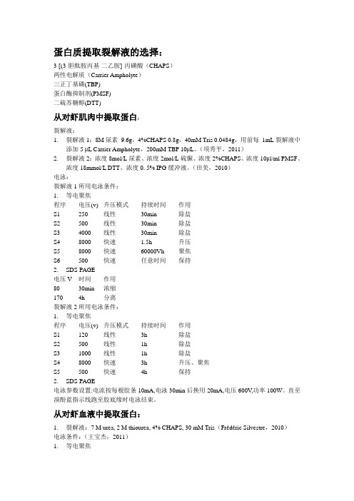 裂解液及电泳条件