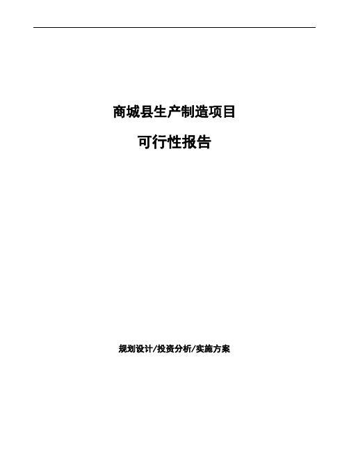 商城县项目可行性报告(立项模板)