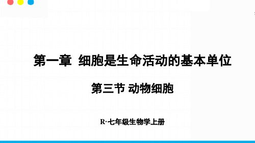 最新人教版七年级生物上册《第三节 动物细胞》优质教学课件