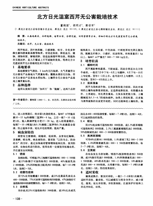 北方日光温室西芹无公害栽培技术