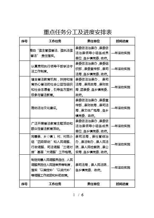 重点任务分工及进度安排表