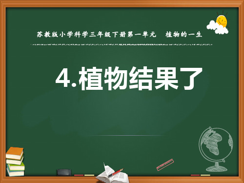 4新苏教版小学科学三年级下册精品课件.植物结果了 (第一、二课时)