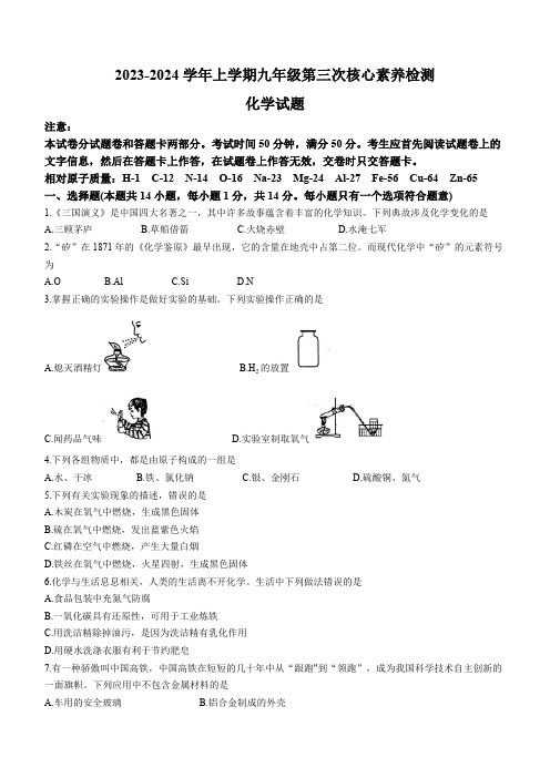 河南省许昌市2023_2024学年九年级上学期第三次核心素养检测化学试题(含答案)