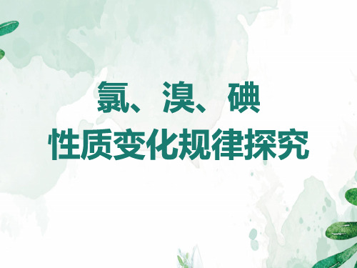 沪科版化学高一上册-2.3 氯、溴、碘 性质变化规律探究 课件 优秀课件