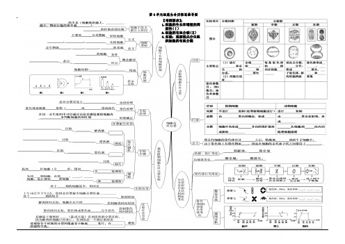 高中生物必修一：第4单元 细胞生命历程思维导图