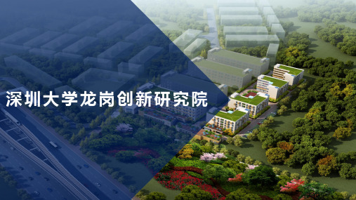 深圳大学龙岗创新研究院