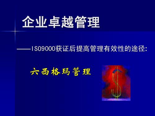 企业的卓越管理六西格马